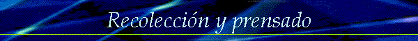 Recoleccin y prensado